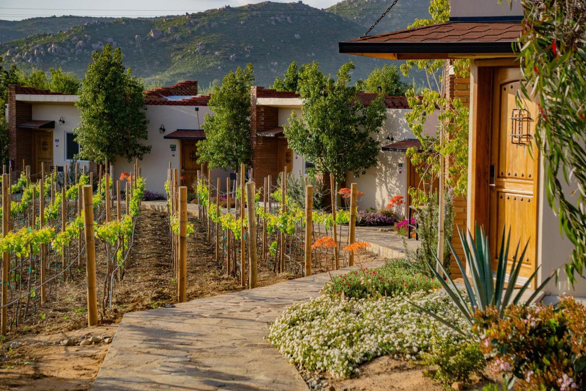 Ojo Azul Resort Valle de Guadalupe Zewnętrze zdjęcie