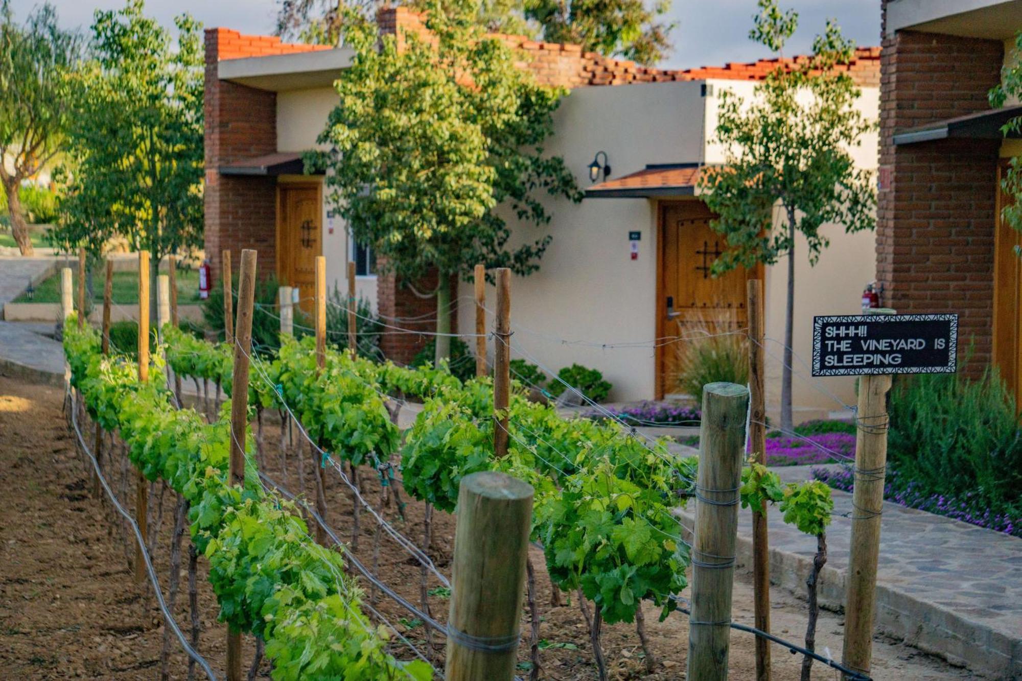 Ojo Azul Resort Valle de Guadalupe Zewnętrze zdjęcie