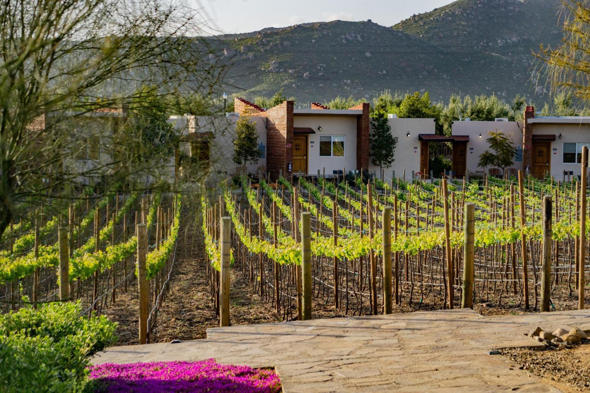 Ojo Azul Resort Valle de Guadalupe Zewnętrze zdjęcie